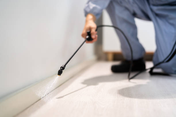 Licensed Pest Control service in Burnet, TX - Show Me Pest Control