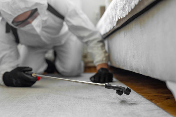 Professional Ant Control technician working in Burnet, TX
