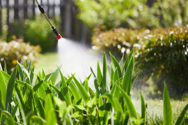 24/7 Emergency Ant Control experts in Burnet, TX