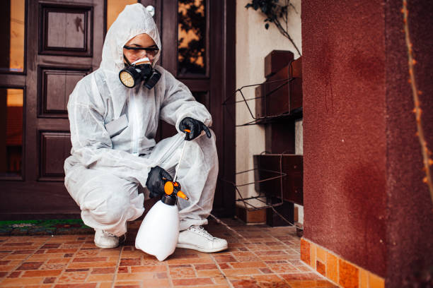 Reliable Ant Control contractor in Burnet, TX by Show Me Pest Control